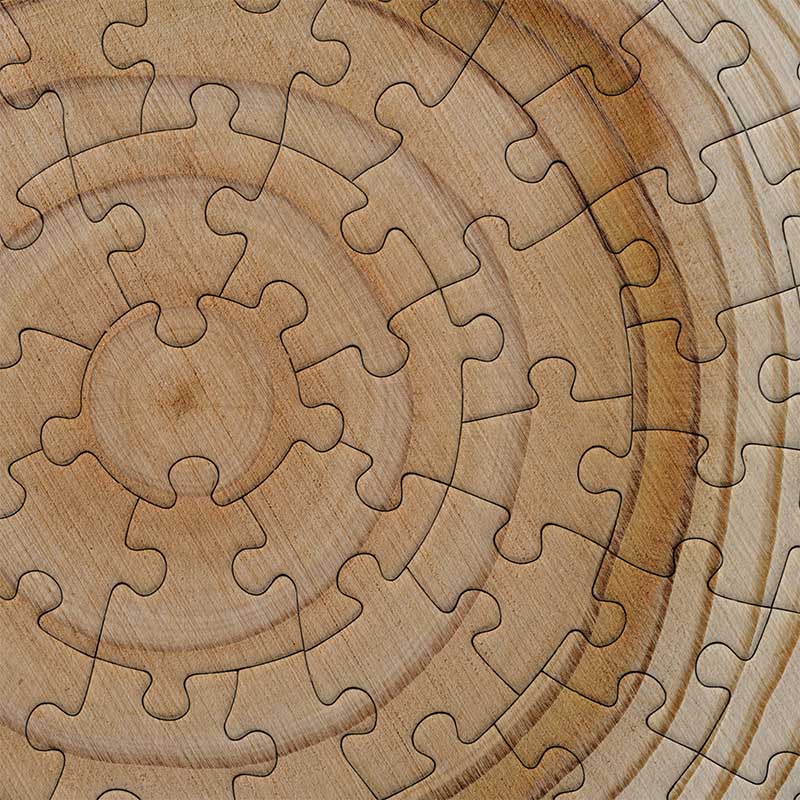 tronco-albero-puzzle copia
